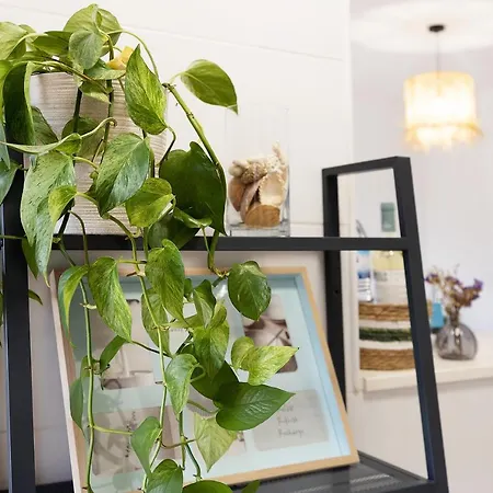 Casa Minke Апартаменты